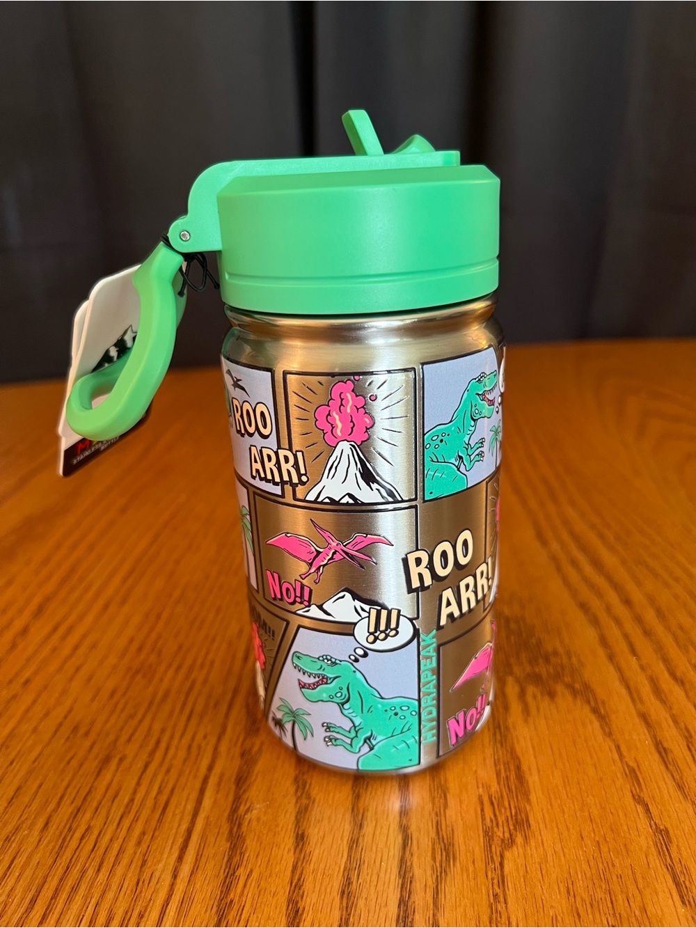 14 oz Hydrapeak Stainless Steel & Green Dinosaur Comic Strip Water Bottle